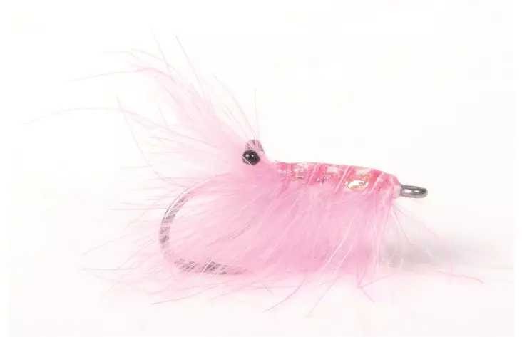 Runars Cdc Reke Pink - Garnelen - 7033840121584 - 1