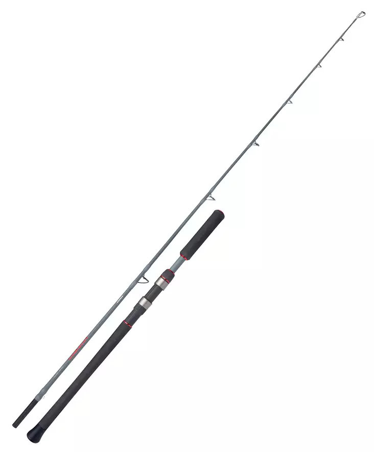 Shimano Forcemaster AX Catfish Vertica 185cm 200g Spinning 1+1pc - Meeresruten für das Tiefseeangeln - 8717009884914 - 1