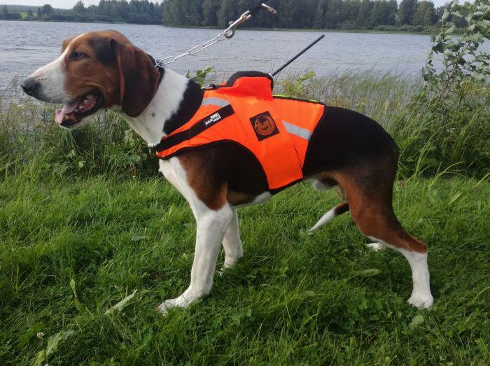Tracker Kardog Jehu Koiraliivi - Hundewesten und -kleidung - A2900034 - 1
