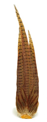 Veniard Cock Pheasant Complete Tail - Schwänze - 5056304604272 - 1