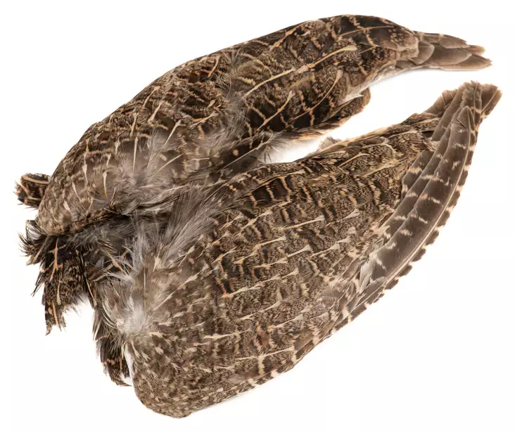 Veniard English Partridge Wings - Häute, Flügel und Köpfe - 5056304603589 - 1