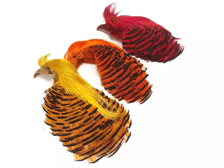 Golden Pheasant Complete Head 1st Qualit - Häute, Flügel und Köpfe - 404001000024 - 1