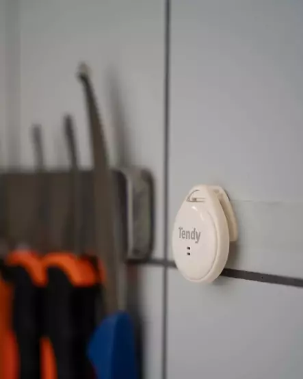 Tendy Nemus Tenderizing Timer - Vakuumiergeräte und Zubehör - 7350166090005 - 2