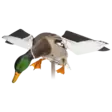 Avian-X Powerflight Mallard - Lockvögel - 082271001795 - 2
