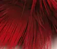 Hareline Golden Pheasant Body Feathers - Andere Federn und Plüme - 404503000055 - 7
