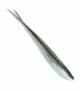 Lunker City Fin-S Fish 5''/12,5cm - Weichköder für das Vertikalangeln - 1730020005 - 29