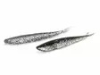 Lunker City Fin-S Fish 5''/12,5cm - Weichköder für das Vertikalangeln - 1730020005 - 3