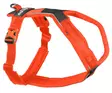 Non-stop Dogwear Line Harness 5.0 Orange - Hundegeschirr - 7071652021845 - 1