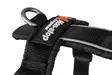 Non-stop Dogwear Line Harness 5.0 Orange - Hundegeschirr - 7071652021845 - 3