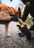 Non-stop Dogwear Protector Bootie - Hundehalsbänder, Geschirre und Leinen - 7071652013215 - 3