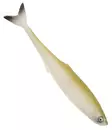 Sewro Custom Bait - Bleak 16cm - Weichköder für Hechte unter 100g - 3005202115 - 8