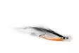 Surffilauta Pearl Streamer - Streamer und Wooly Buggers - 8859202530745 - 1