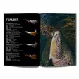 Top Salmon Flies Vol.2 - Literatur - 9789526879215 - 3