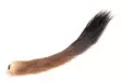 Stoat Tail - Schwänze - 40500100015 - 3