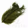 Wapsi Ostrich Plumes - Andere Federn und Plüme - 40450300035 - 3
