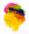 Wapsi Ostrich Plumes - Andere Federn und Plüme - 40450300035 - 1