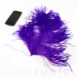 Wapsi Ostrich Plumes - Andere Federn und Plüme - 40450300035 - 2