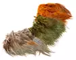 Wapsi Ringneck Pheasant Rump Hackle - Andere Federn und Plüme - 404503000015 - 1