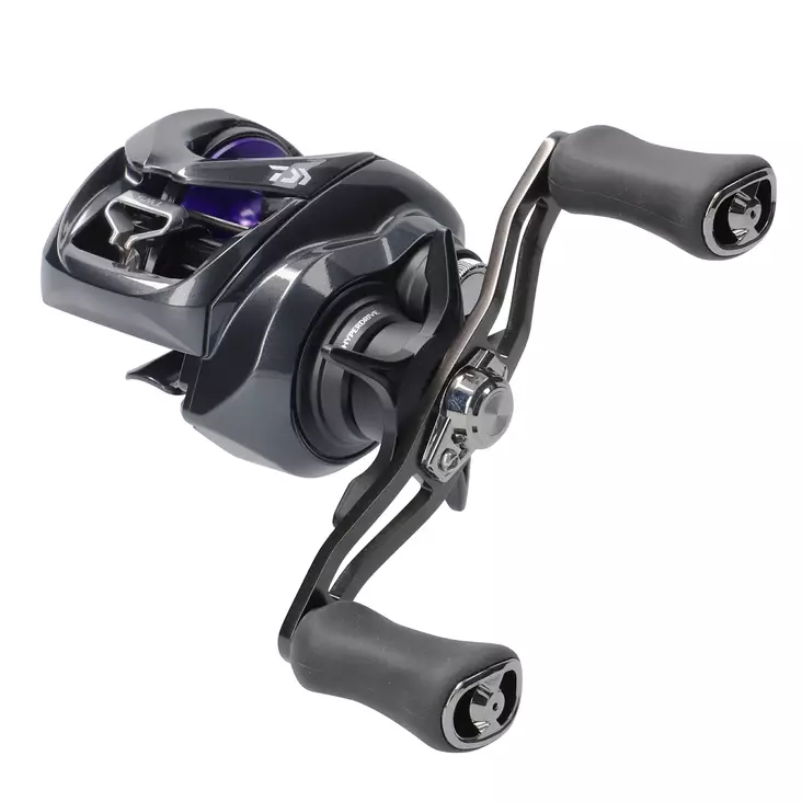 Daiwa 26 Prorex TW HD 200 - Niedrigprofil-Baitcast-Rollen - 043178451595 - 1