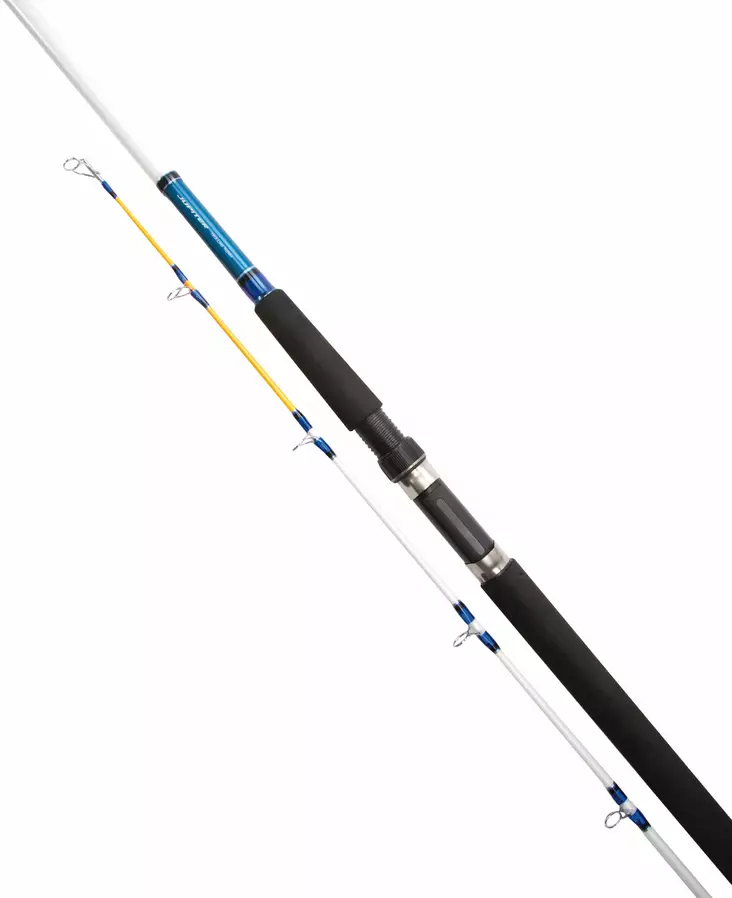 Daiwa Jupiter JTR602MH - Daiwa-Schleppangelnruten - 5055161893065 - 1
