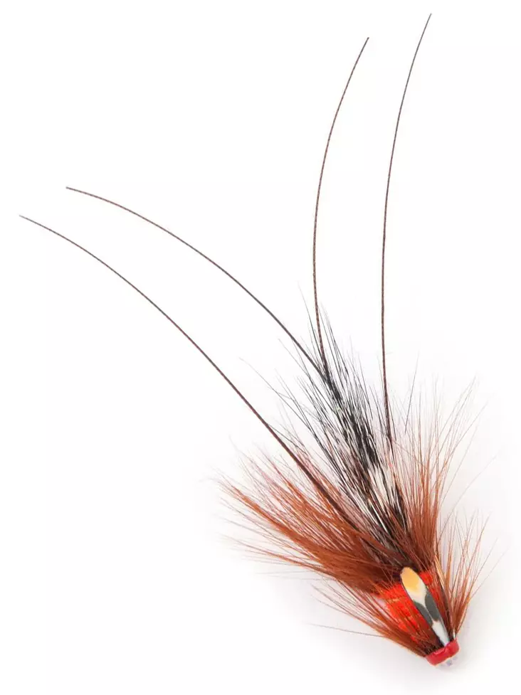 Pot Belly Pig - Fl. Fire Red - Tube Fliegen - 7033841055765 - 1