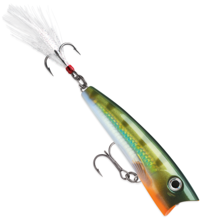 Rapala X-Rap Pop 7cm 11g - Oberflächenköder - 1730010045 - 1
