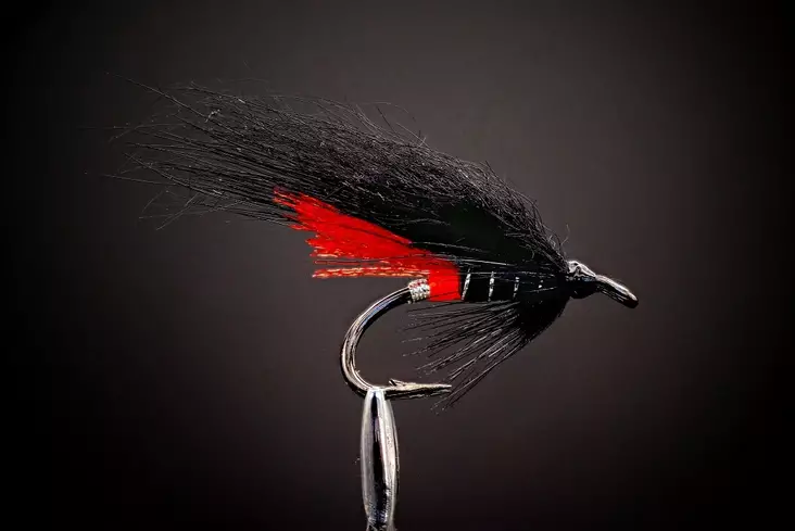Red Butt Salmon Fly - Doppelhaken-Lachsfliegen - 8859202530295 - 1