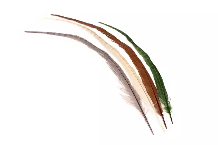 Silvergrey Cock Pheasant Centre Tails - Schwänze - 404503000025 - 1