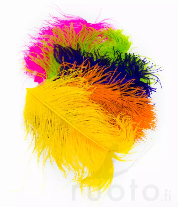 Wapsi Ostrich Plumes - Andere Federn und Plüme - 40450300035 - 1