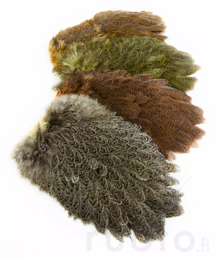 Brahma Hen Saddle - Hühnerhälse und Sattelfedern - 40350300005 - 1