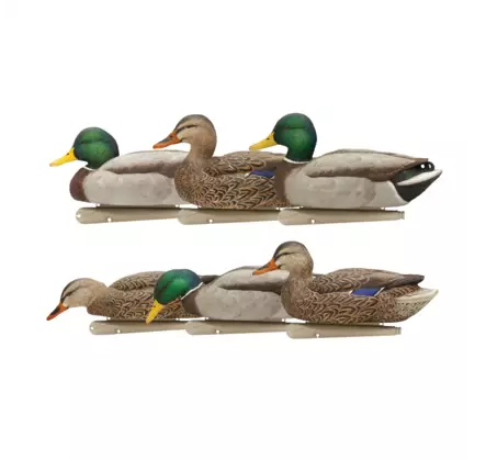 Avian-X Topflight Fusion Mallards 6pcs - Lockvögel - 810280080766 - 1