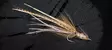 Ahrex SA220 Streamer SW - Meerforellenhaken - 655043955376 - 3