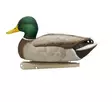 Avian-X Topflight Fusion Mallards 6pcs - Lockvögel - 810280080766 - 8