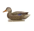 Avian-X Topflight Fusion Mallards 6pcs - Lockvögel - 810280080766 - 5