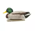 Avian-X Topflight Fusion Mallards 6pcs - Lockvögel - 810280080766 - 6