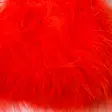 Hareline Marabou Strung Blood Quills - Andere Federn und Plüme - 40450300506 - 40