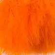Hareline Marabou Strung Blood Quills - Andere Federn und Plüme - 40450300506 - 32