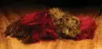 Hareline Wooly Bugger Marabou - Andere Federn und Plüme - 40450300026 - 34