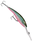 Rapala Deep Tail Dancer 11cm 22g - Wobbler über 10 cm - 340040016 - 27