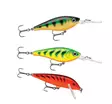 Rapala Essentials Trout Cloudy 2.0 - Köder-Sortimente - 022677384146 - 2