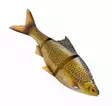 Savage Gear 3D Line Thru Roach 25cm Slow Sink - Weichköder für Hechte über 100g - 04072023126 - 5