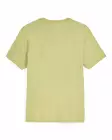 Simms Trout Outline T-Shirt Tent Green - Herren-T-Shirts - 694264694466 - 2