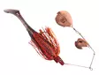 Strike Pro Pig Chopper XL 32g - Spinnerbaits und Chatterbaits - 2602202346 - 1