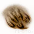 Hen Mallard Breast Feathers - Klassische Feder - 5056304602544 - 2