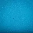 Wapsi Fly Foam 3 & 1,5mm - Andere Fliegenbindematerialien - 40850000056 - 5
