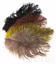 Ostrich Mini Plumes - Andere Federn und Plüme - 40450300056 - 1
