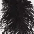 Ostrich Mini Plumes - Andere Federn und Plüme - 40450300056 - 6