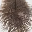 Ostrich Mini Plumes - Andere Federn und Plüme - 40450300056 - 3