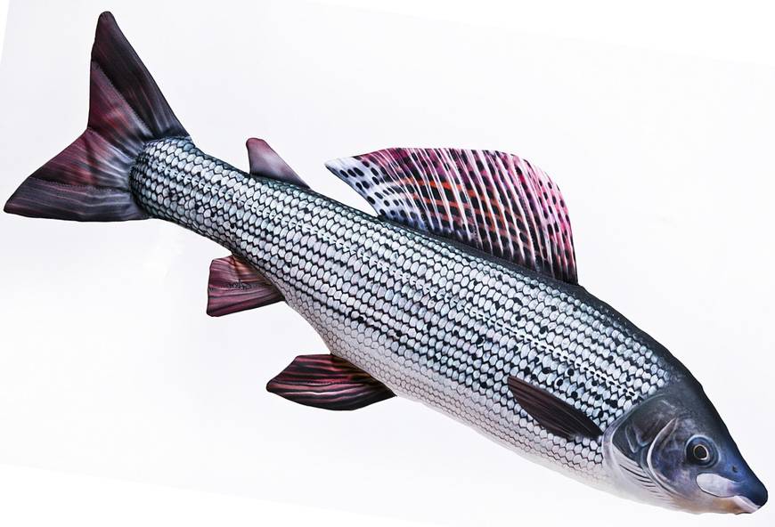 Gaby Grayling 65cm - Plüschfisch - 5905279175426 - 1