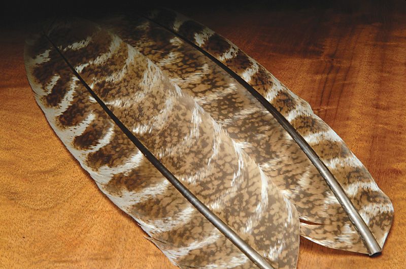 Hareline Ozark Turkey Wing Quills Oak Mottled - Klassische Feder - 762820009846 - 3